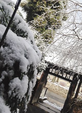 白沙村荘橋本関雪記念羊５