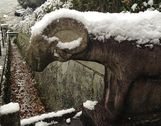 白沙村荘橋本関雪記念館羊１