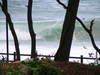 20050201_dscf0176