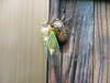20060718_dscf0774