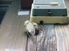 20060718_dscf0776