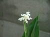 20060921_dscf0814