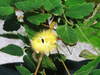 20061106_dscf0959
