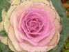 20061119_dscf0982