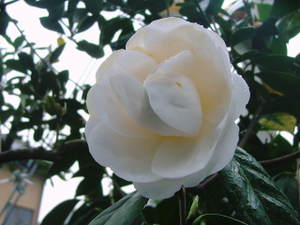20030107_dscf1308