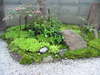 Dscf0435