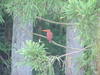 Dscf0549