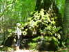 Dscf0568