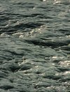 Dscf08501