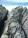 Dscf0876