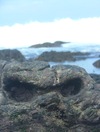 Dscf0889